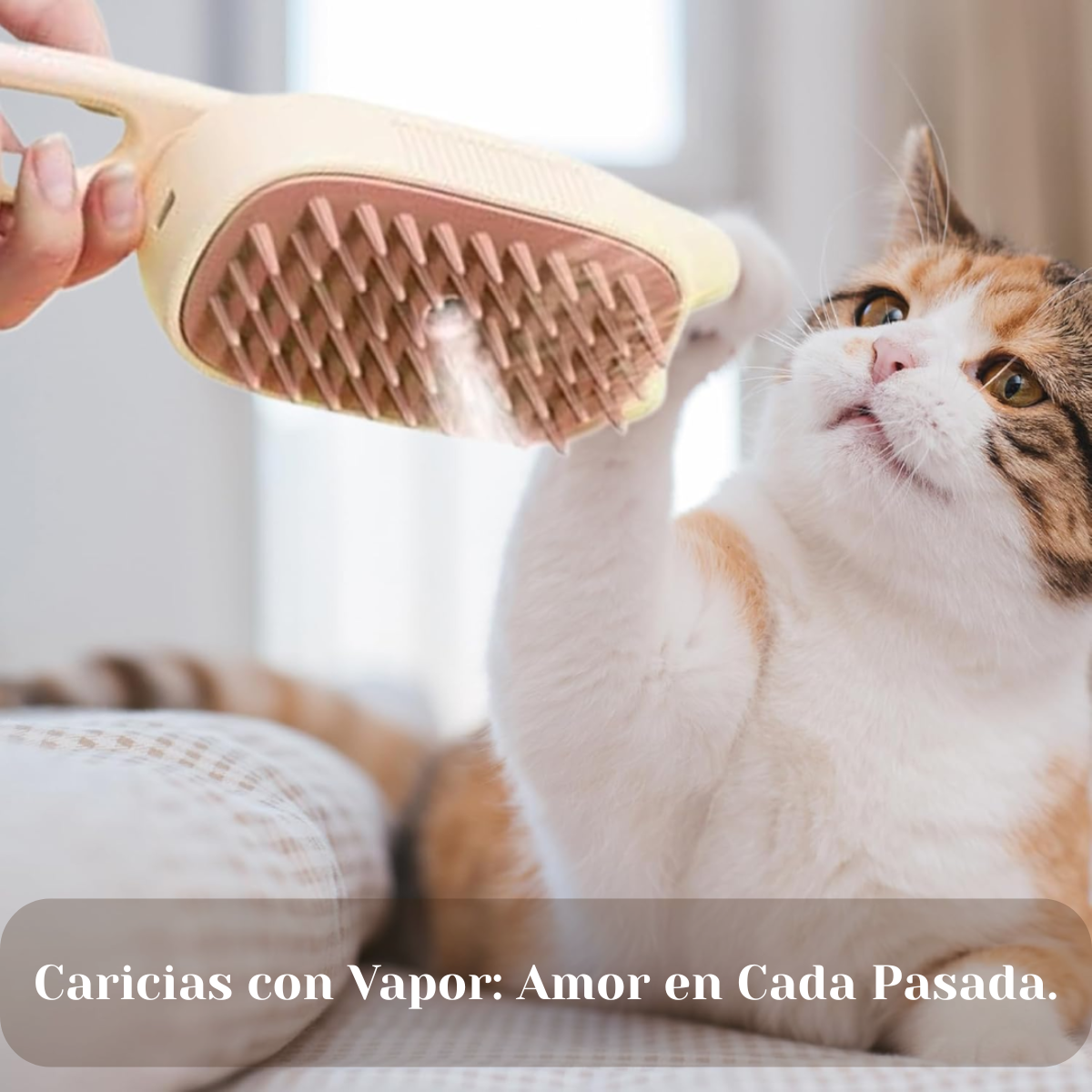 Cepillo 4 en 1 para mascotas